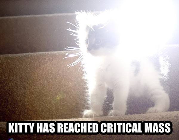 Kitty reached critical mass.jpg